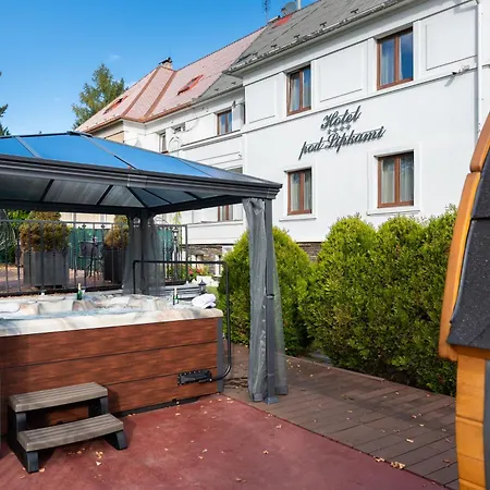 Wellness & Boutique Pod Lipkami 4*