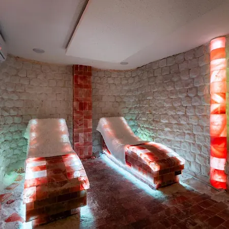 Wellness & Boutique Pod Lipkami 4* Πράγα