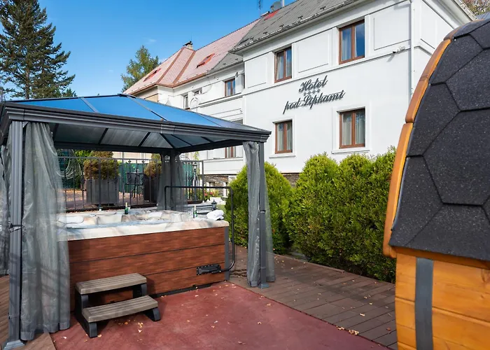 Wellness & Boutique Pod Lipkami 4*